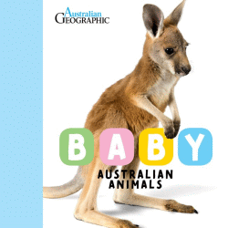 BABY AUSTRALIAN ANIMALS BOARD BOOK