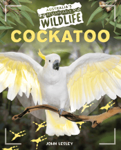 COCKATOO