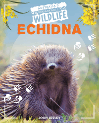 ECHIDNA
