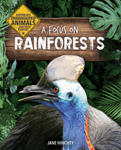 FOCUS ON RAINFORESTS, A