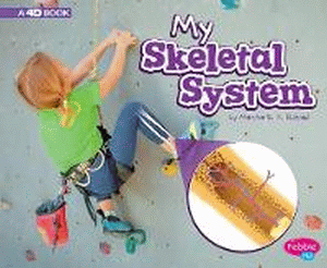 MY SKELETAL SYSTEM