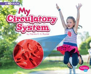 MY CIRCULATORY SYSTEM