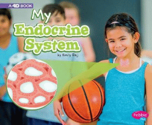 MY ENDOCRINE SYSTEM