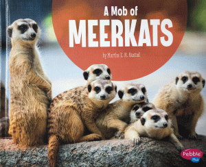 MOB OF MEERKATS, A