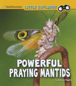 POWERFUL PRAYING MANTIDS