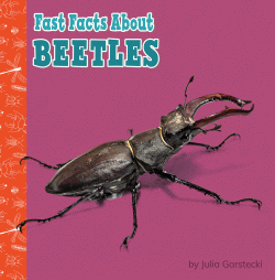 BEETLES
