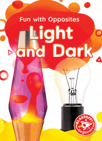 FUN WITH OPPOSITES: LIGHT AND DARK