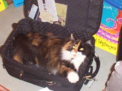 Millie making herself at home!